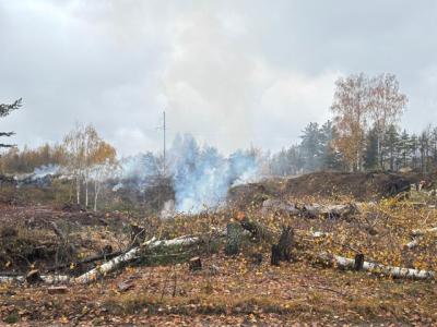 Под Рязанью вновь горит незаконная свалка в районе посёлка Мурмино