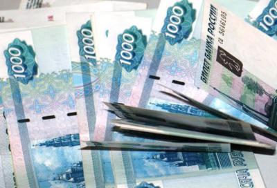Рязанца оштрафовали на 30 тысяч рублей за заросшие сором земельные участки