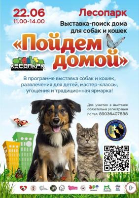 В Рязани пройдёт очередная выставка бездомных животных