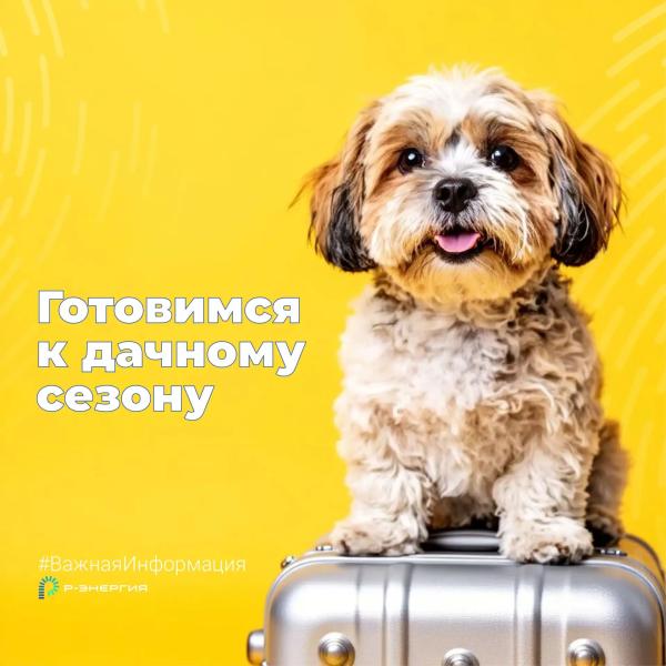 Рязанцам рассказали, как избежать переплаты за ЖКУ в тёплый сезон