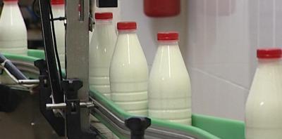 Рязанские производители молока сохраняют рентабельность