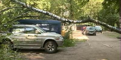 В Рязани автомобиль прикрыл детей от упавшего дерева