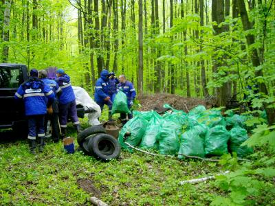 С территории лесного фонда Рязанской области убрали 130 кубометров мусора