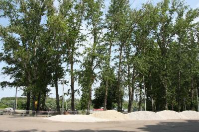 В Лесопарке Рязани готовят участок под устройство экотропы