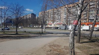 Рязанские улицы очистились от несанкционированной торговли