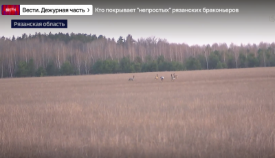 Федеральный канал рассказал о браконьерской охоте в Шацком районе