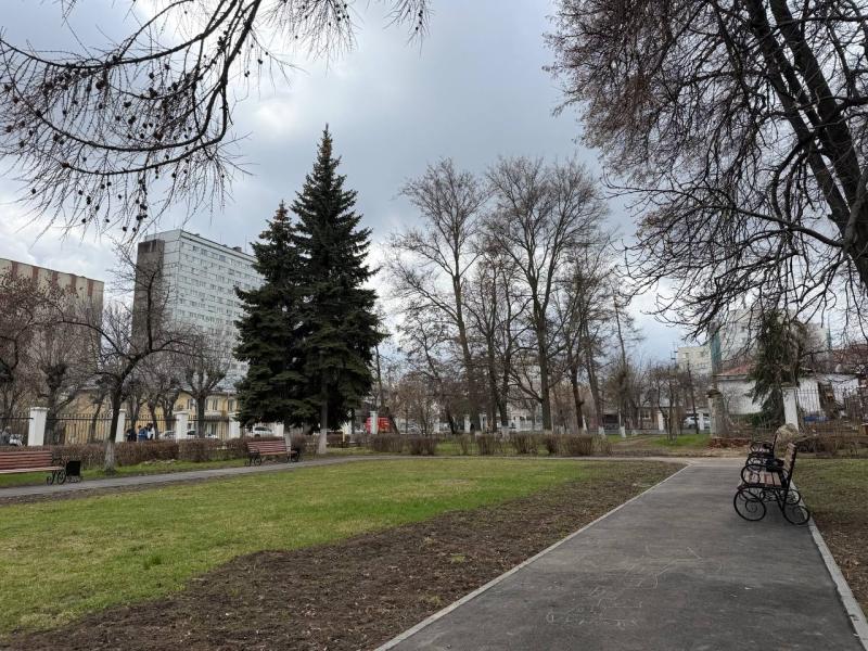 Объявлен тендер на обработку парков Рязани от клещей