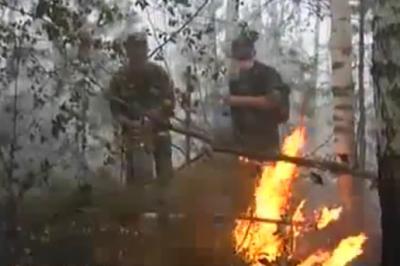 Десантники помогают бороться с огнём в Рязанской области