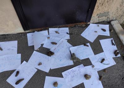 Юные рыбновцы принесли к зданию мэрии рисунки в поддержку бездомных собак