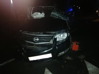 Под Пронском Nissan врезался в Skoda, пострадали пять человек