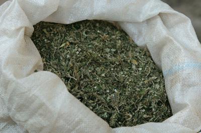 У жителя Михайловского района изъяли более 600 граммов марихуаны