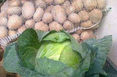 Рязанские антимонопольщики проверят цены на картофель и капусту