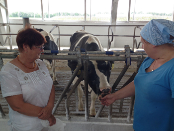 Рязанские передовики молочного животноводства перенимают опыт липецких коллег