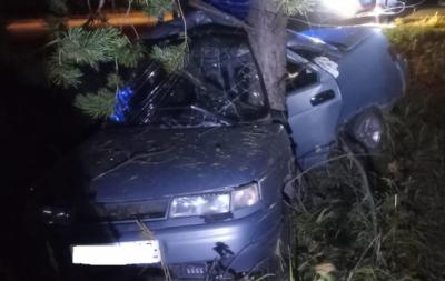 Близ Старожилово погиб водитель «десятки», врезавшийся в дерево