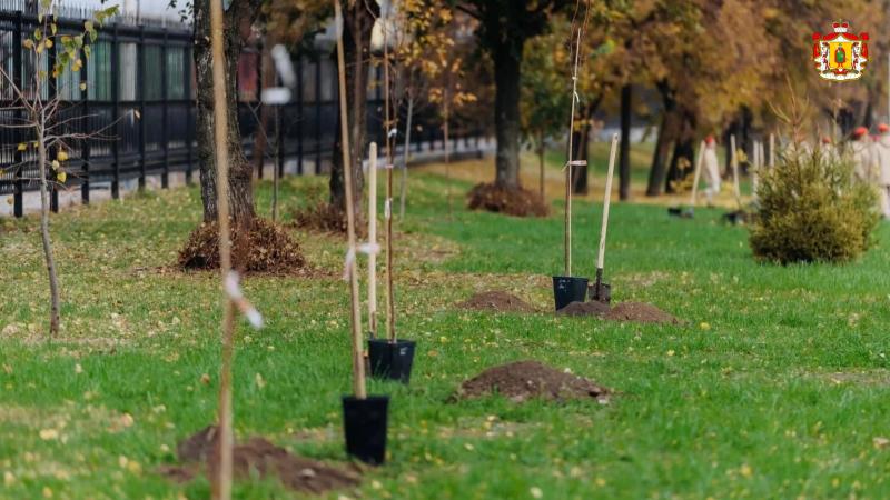 Из-за атаки БПЛА высадку деревьев на улице Есенина в Рязани перенесли на 17 октября