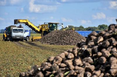 В Рязанской области завершается уборочная кампания