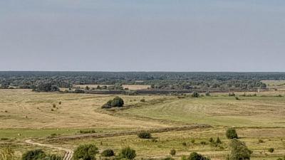 В Рыбновском районе сгорело 15 гектаров травы