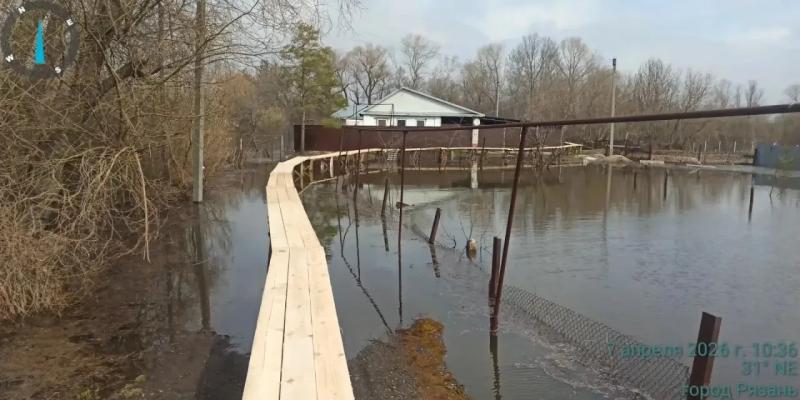 В местах подтопления в посёлке Борки Рязани установили деревянные мостки