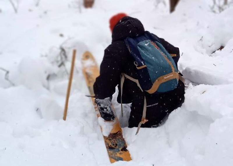 В Окском заповеднике выкапывают фотоловушки