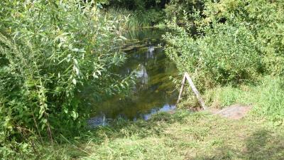 В Ряжском округе утонул турист