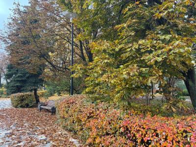 Рязанцам пообещали небольшие дожди