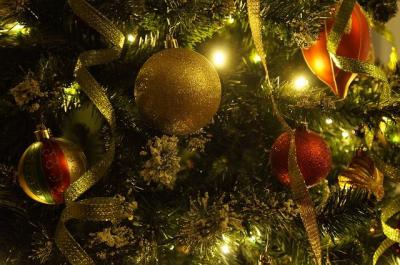 В Рязани отменили новогодние ёлки для детей и катки