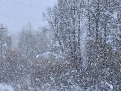 В Рязанском регионе ожидают мокрый снег и дождь