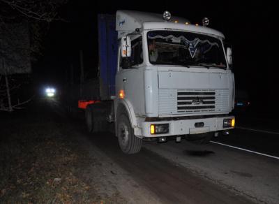 В Касимовском районе грузовик переехал женщину, лежавшую на дороге