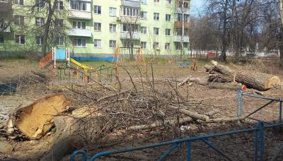 Рязанцы сообщают о заваленных спиленными деревьями детских площадках