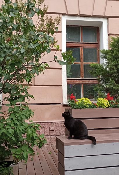 Рязанцам пообещали местами дожди и грозы