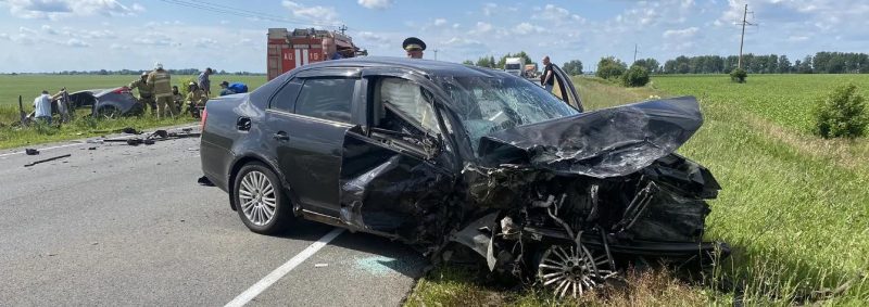 В дорожной аварии в Сасовском округе погибли два человека
