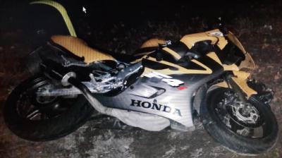 В Клепиковском районе мотоцикл сбил лося