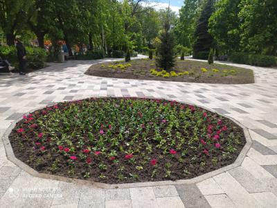 Елена Сорокина хочет контролировать парки, обходя их ногами