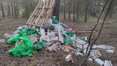 В Рязанской области установят первую в регионе фотоловушку у незаконной свалки