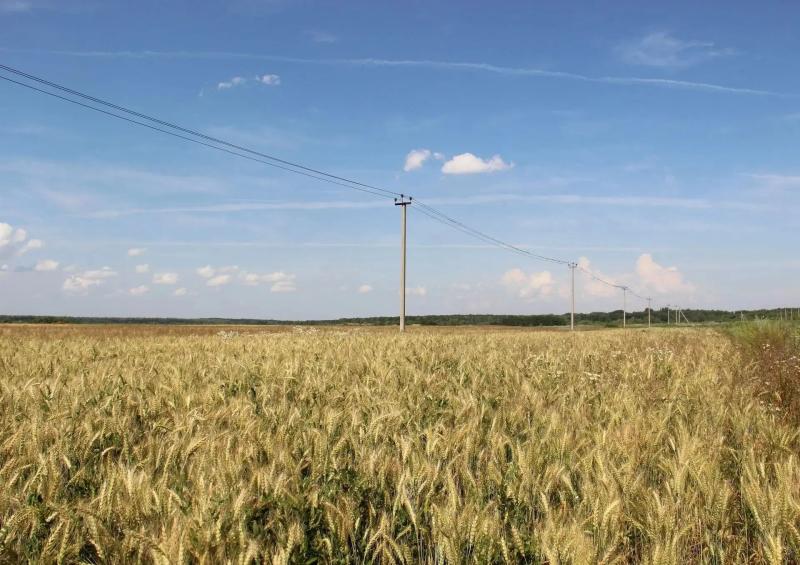 Рязанские энергетики призывают соблюдать правила электробезопасности в сезон уборочной кампании