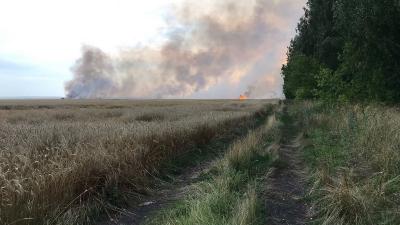 В Сараевском районе сгорело около 10 гектаров пшеничного поля из-за удара молнии