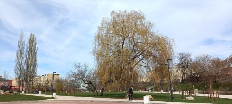 Рязанцев предупредили об аномально жаркой погоде