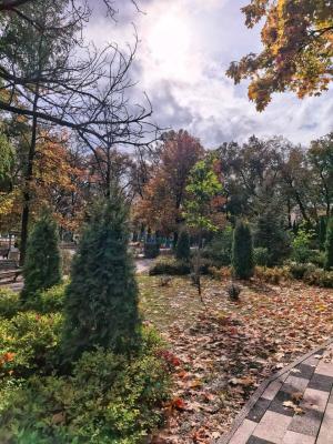 На Рязанщине днём ожидается 9 градусов тепла