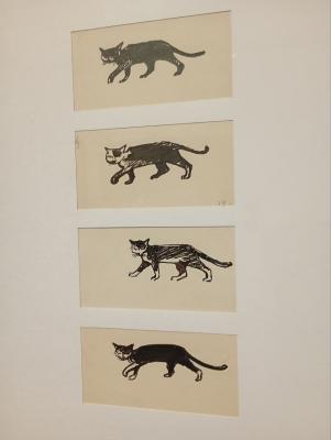 Рязанский художественный музей приглашает окунуться в атмосферу советской книги  