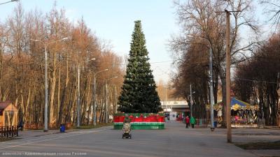 В Рязани установят 33 новогодние ели