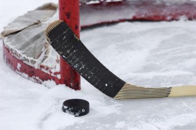 Первый тур чемпионата Рязанской области по хоккею уложился в 2012 год