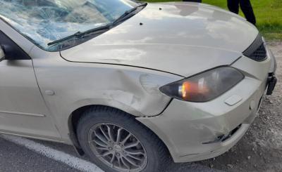 В Касимовском районе Mazda насмерть сбила велосипедиста