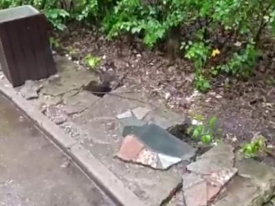 Мэрия объяснила, когда приведут в порядок парк Советско-Польского братства по оружию