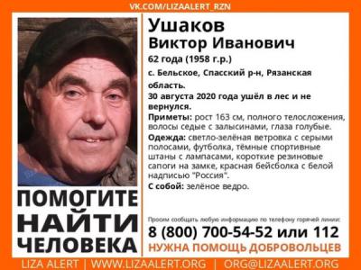 В Рязанской области продолжаются поиски пенсионера, пропавшего 30 августа