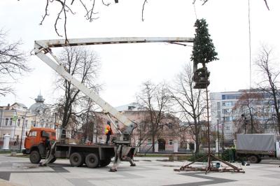 В Рязани начали устанавливать новогодние ели
