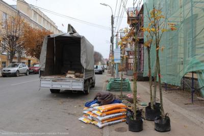На улице Радищева вместо старых тополей посадили 17 каштанов