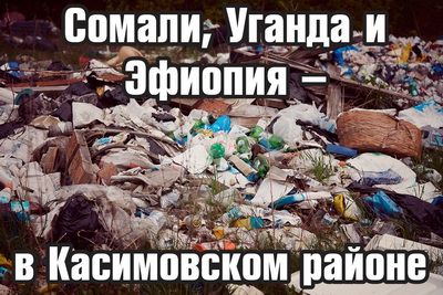 Жители Касимовского района жалуются на отравляющую лес свалку