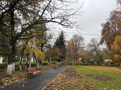 Рязанцам прогнозируют небольшой дождь