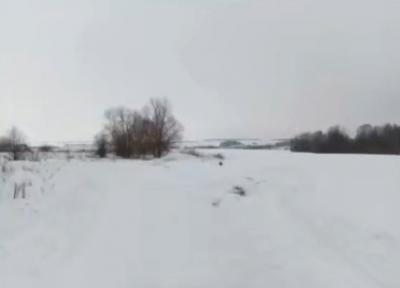 Народный фронт добился вызволения половины рязанской деревни из снежного плена