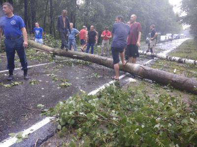 Движение на автодороге Рязань–Нижний Новгород перекрыли упавшие деревья